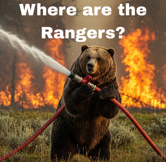 Where are the Rangers? Bears Can't do this alone! 3''x3'' Matte.  Check back soon, this will be available in different sizes and rumors are a holographic 3D bear.